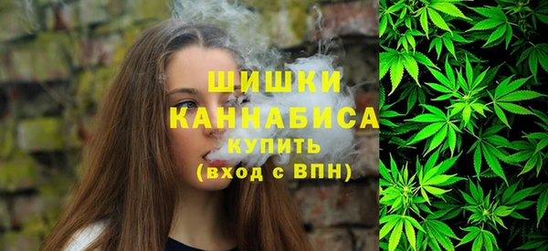 спайс Ладушкин