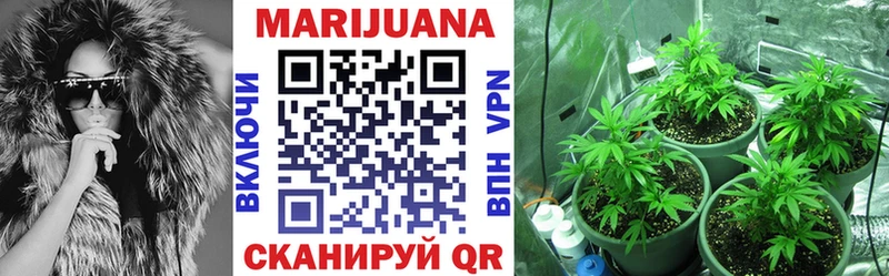 Конопля Bruce Banner  Купить  Шарья 